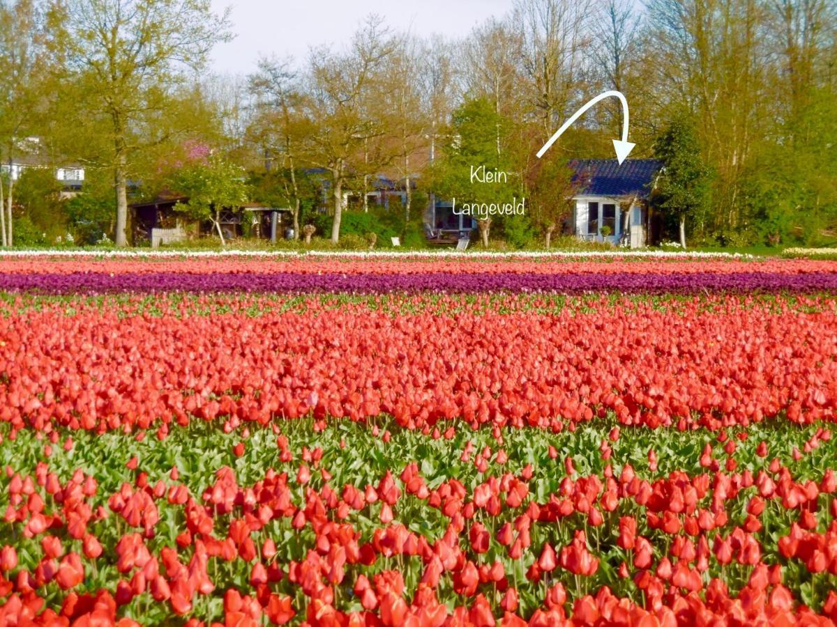 Klein Langeveld * Noordwijkerhout